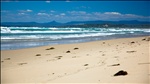 My walk to the other end of Bherwerre beach (3½km long)